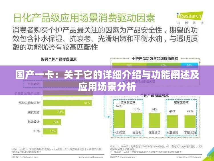 国产一卡：关于它的详细介绍与功能阐述及应用场景分析