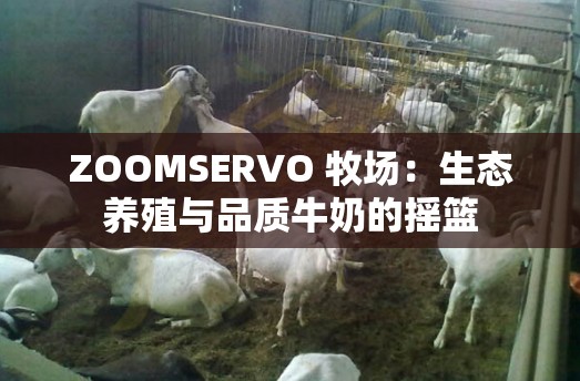 ZOOMSERVO 牧场：生态养殖与品质牛奶的摇篮