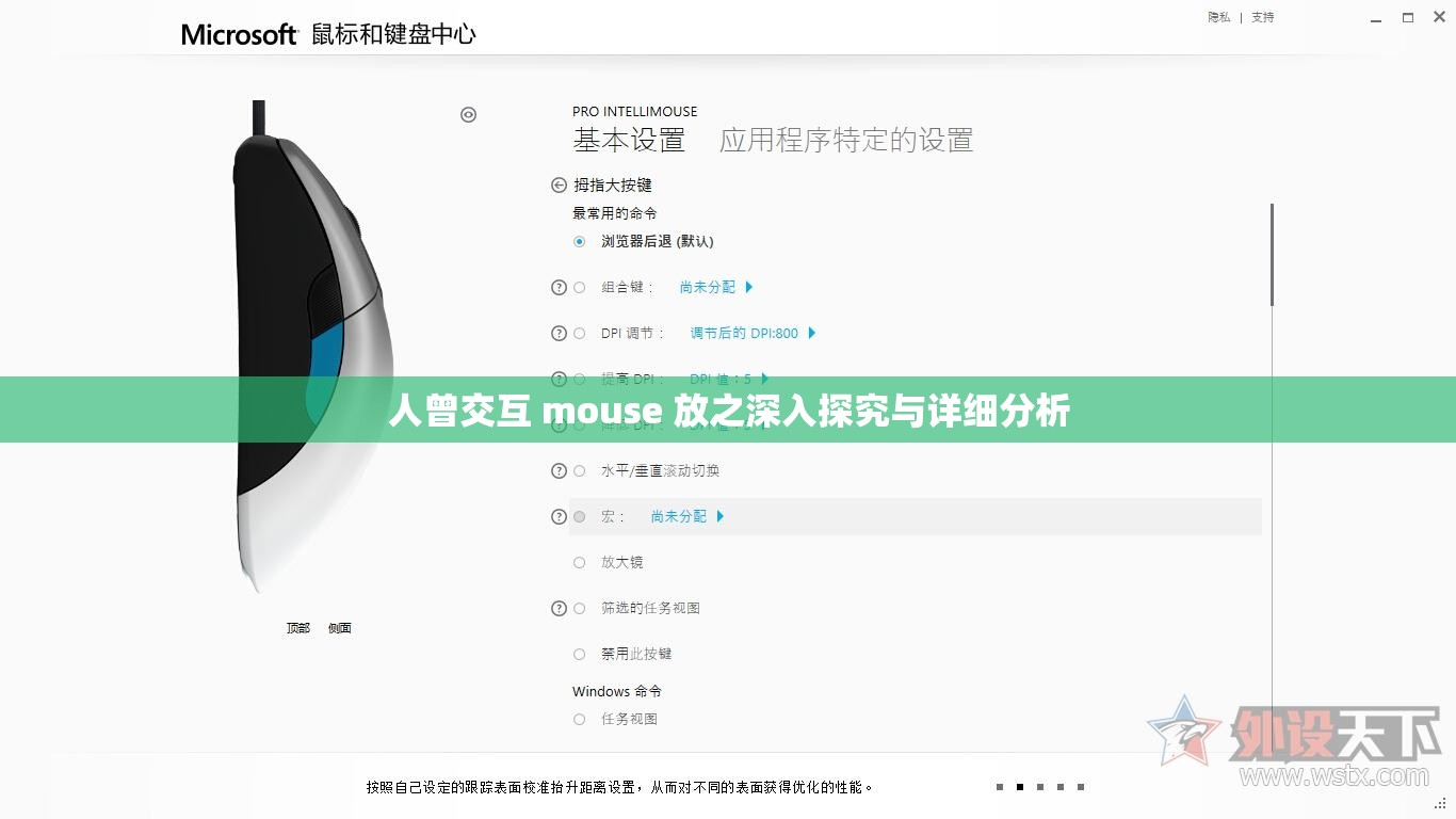 人曾交互 mouse 放之深入探究与详细分析