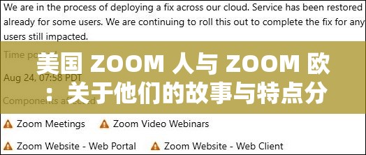 美国 ZOOM 人与 ZOOM 欧：关于他们的故事与特点分析