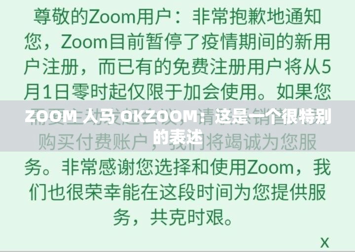 ZOOM 人马 OKZOOM：这是一个很特别的表述