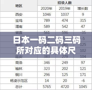 日本一码二码三码所对应的具体尺码是什么