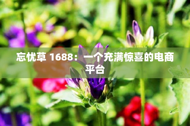 忘忧草 1688：一个充满惊喜的电商平台