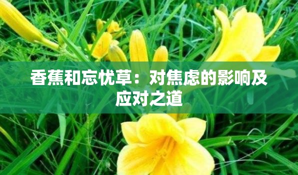 香蕉和忘忧草：对焦虑的影响及应对之道