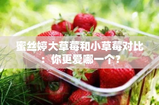 蜜丝婷大草莓和小草莓对比：你更爱哪一个？