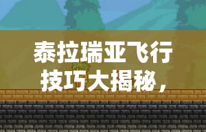 泰拉瑞亚飞行技巧大揭秘，掌握翅膀正确打开方式，翱翔天际不是梦