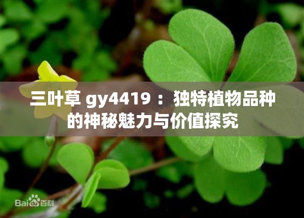 三叶草 gy4419 ：独特植物品种的神秘魅力与价值探究