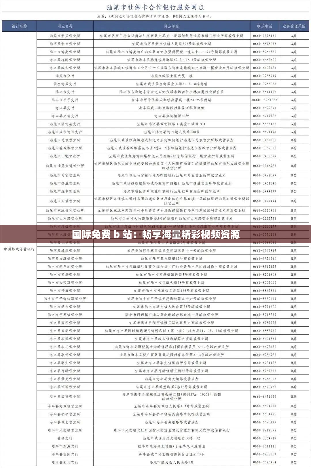 国际免费 b 站：畅享海量精彩视频资源