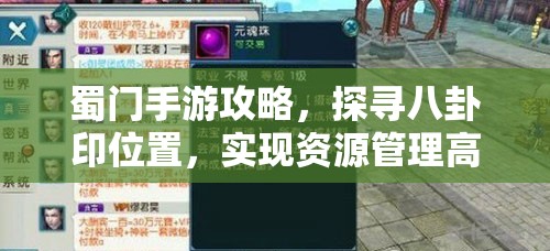 蜀门手游攻略，探寻八卦印位置，实现资源管理高效利用并避免资源浪费