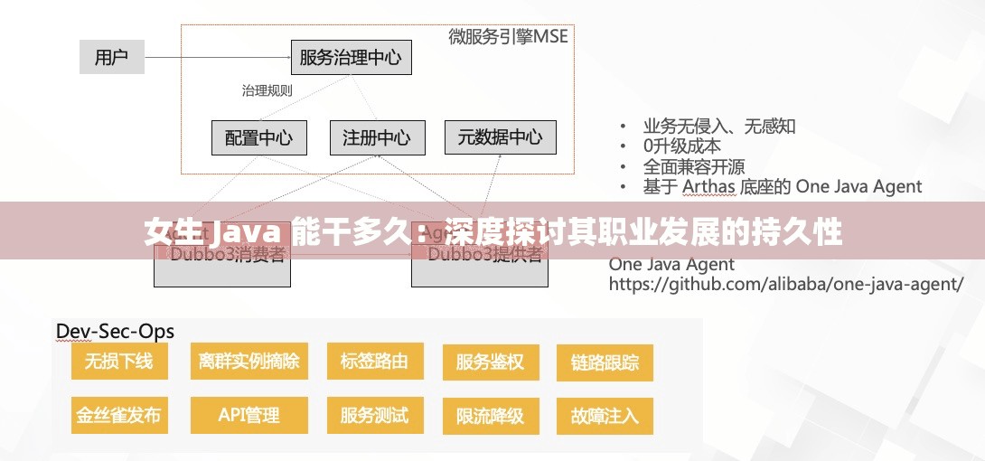 女生 Java 能干多久：深度探讨其职业发展的持久性