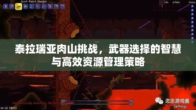 泰拉瑞亚肉山挑战，武器选择的智慧与高效资源管理策略