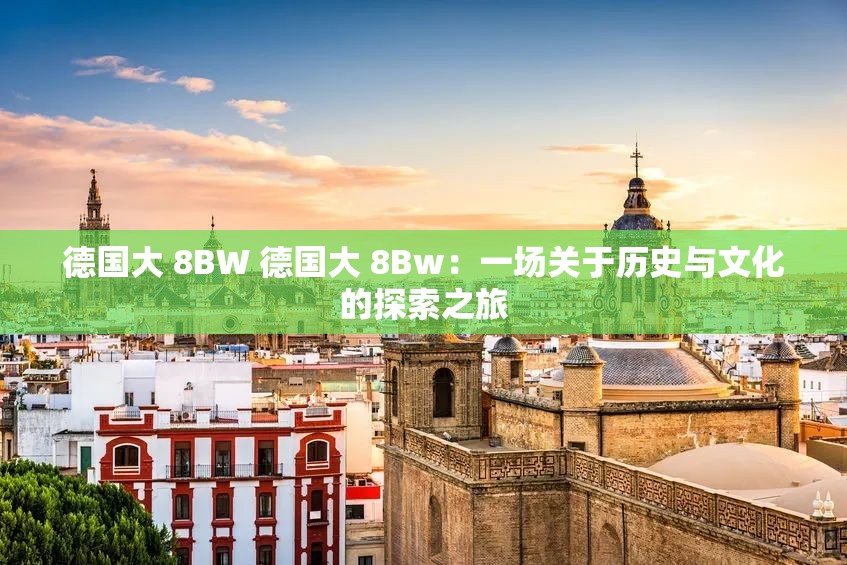 德国大 8BW 德国大 8Bw：一场关于历史与文化的探索之旅