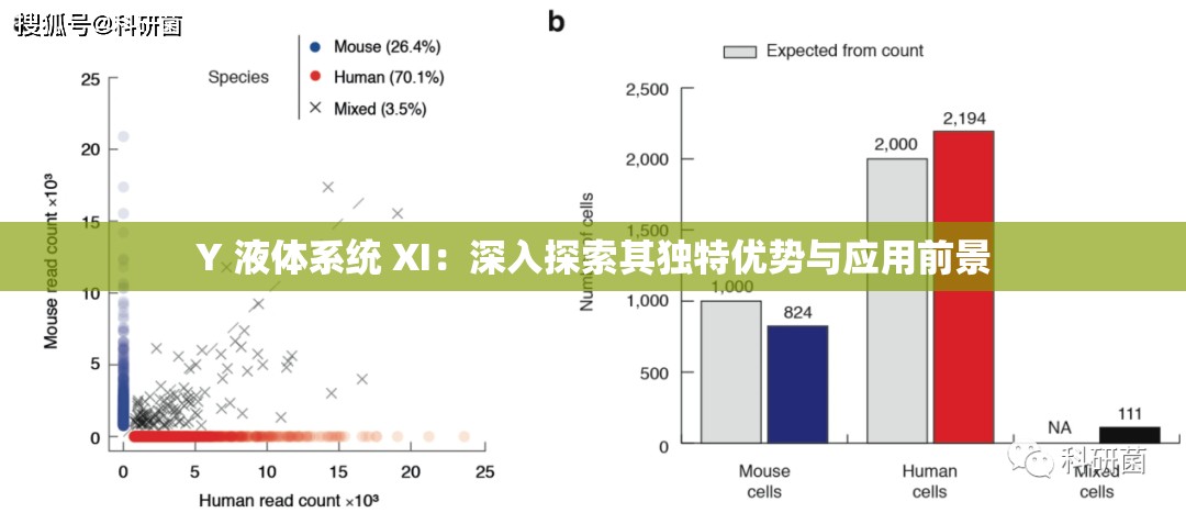 Y 液体系统 XI：深入探索其独特优势与应用前景