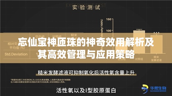 忘仙宝神匝珠的神奇效用解析及其高效管理与应用策略