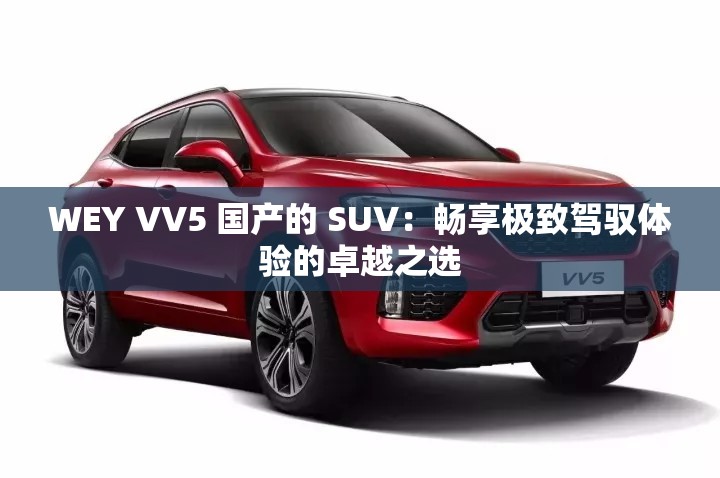 WEY VV5 国产的 SUV：畅享极致驾驭体验的卓越之选