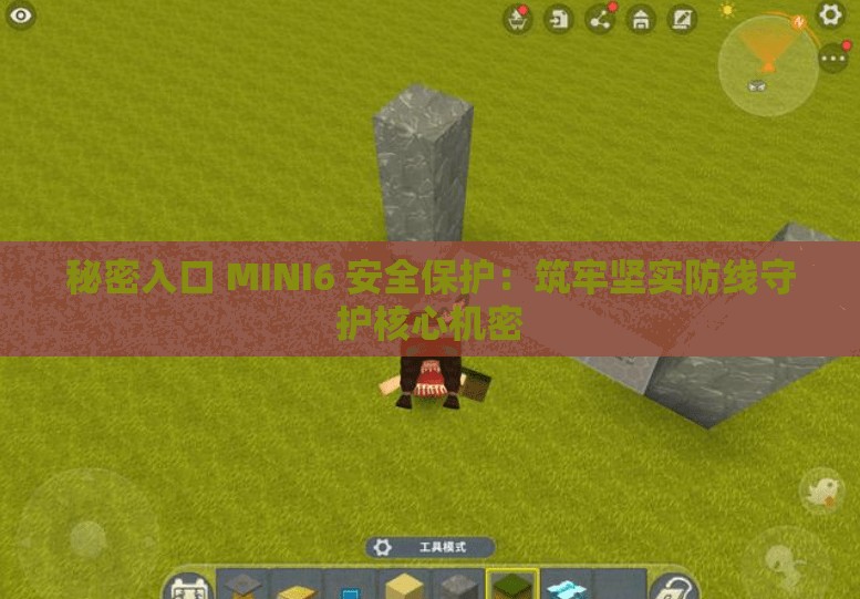 秘密入口 MINI6 安全保护：筑牢坚实防线守护核心机密