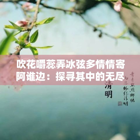 吹花嚼蕊弄冰弦多情情寄阿谁边：探寻其中的无尽情思与意蕴