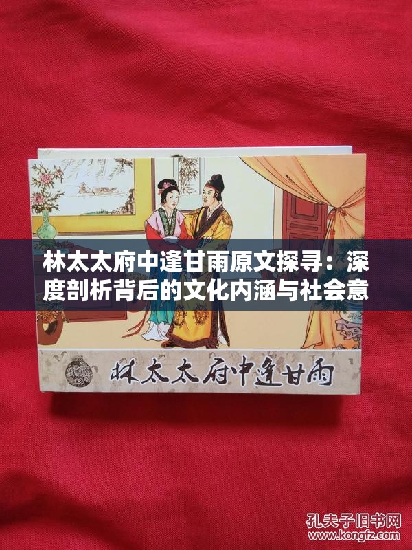 林太太府中逢甘雨原文探寻：深度剖析背后的文化内涵与社会意义