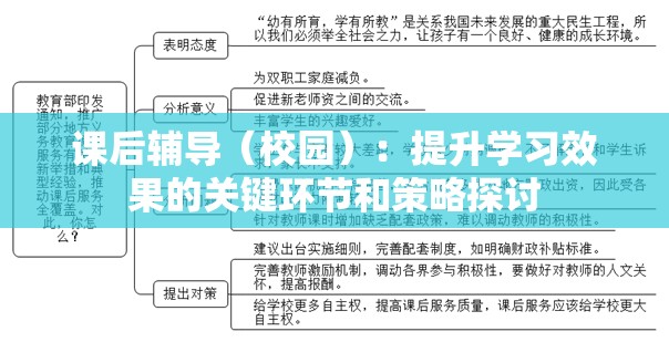 课后辅导（校园）：提升学习效果的关键环节和策略探讨