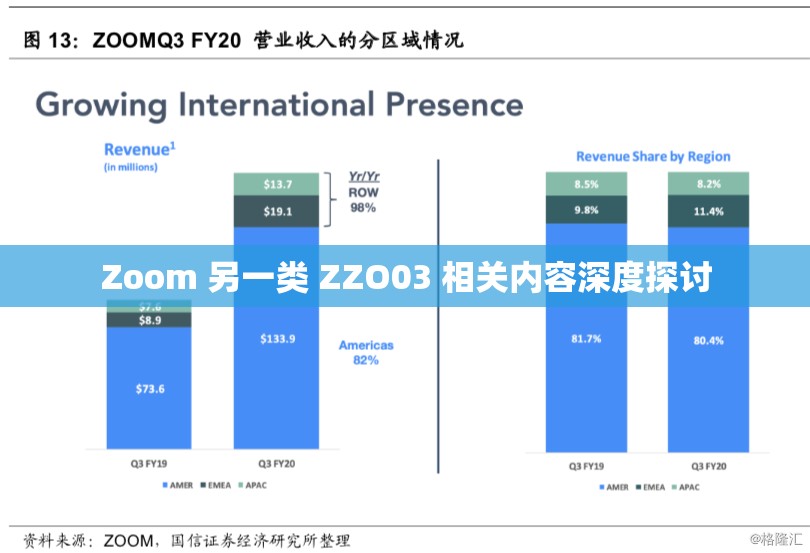 Zoom 另一类 ZZO03 相关内容深度探讨