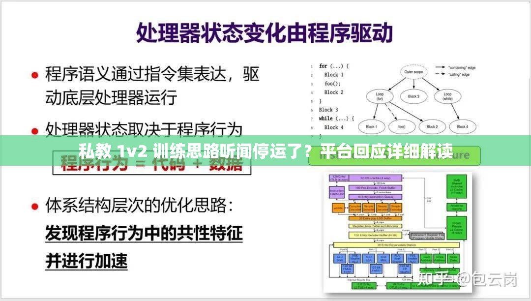 私教 1v2 训练思路听闻停运了？平台回应详细解读