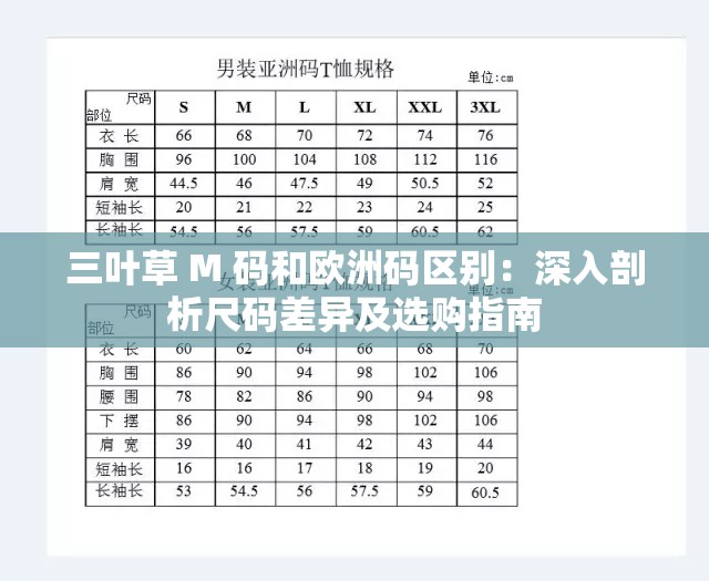 三叶草 M 码和欧洲码区别：深入剖析尺码差异及选购指南