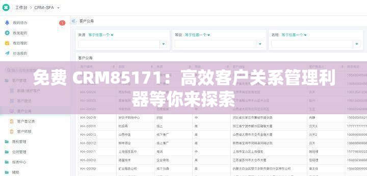 免费 CRM85171：高效客户关系管理利器等你来探索