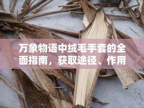 万象物语中绒毛手套的全面指南，获取途径、作用解析与管理策略