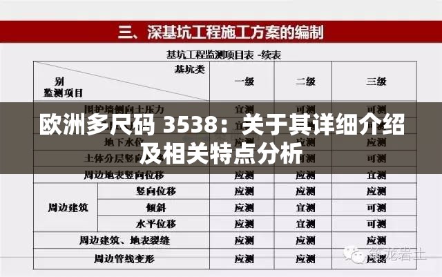 欧洲多尺码 3538：关于其详细介绍及相关特点分析