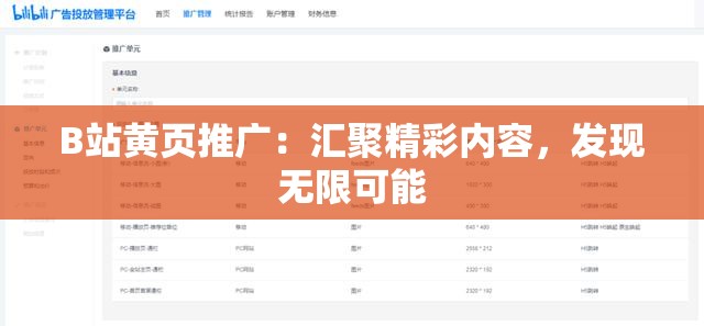 B站黄页推广：汇聚精彩内容，发现无限可能