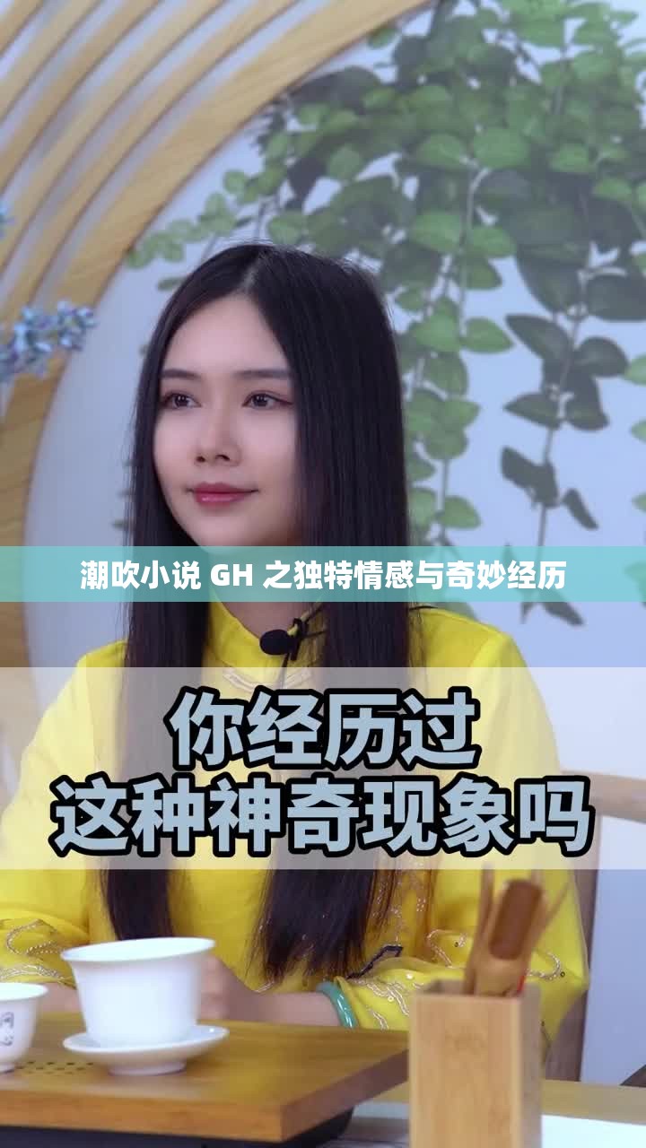 潮吹小说 GH 之独特情感与奇妙经历