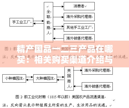 精产国品一二三产品在哪买：相关购买渠道介绍与分析