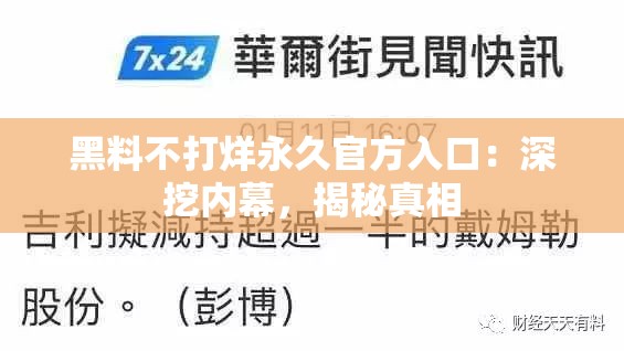 黑料不打烊永久官方入口：深挖内幕，揭秘真相