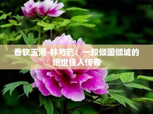 香软玉滑-林芍药：一段倾国倾城的绝世佳人传奇