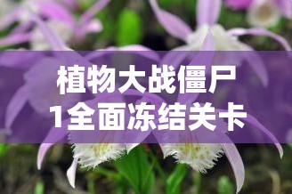 植物大战僵尸1全面冻结关卡攻略，高效策略与资源管理技巧指南