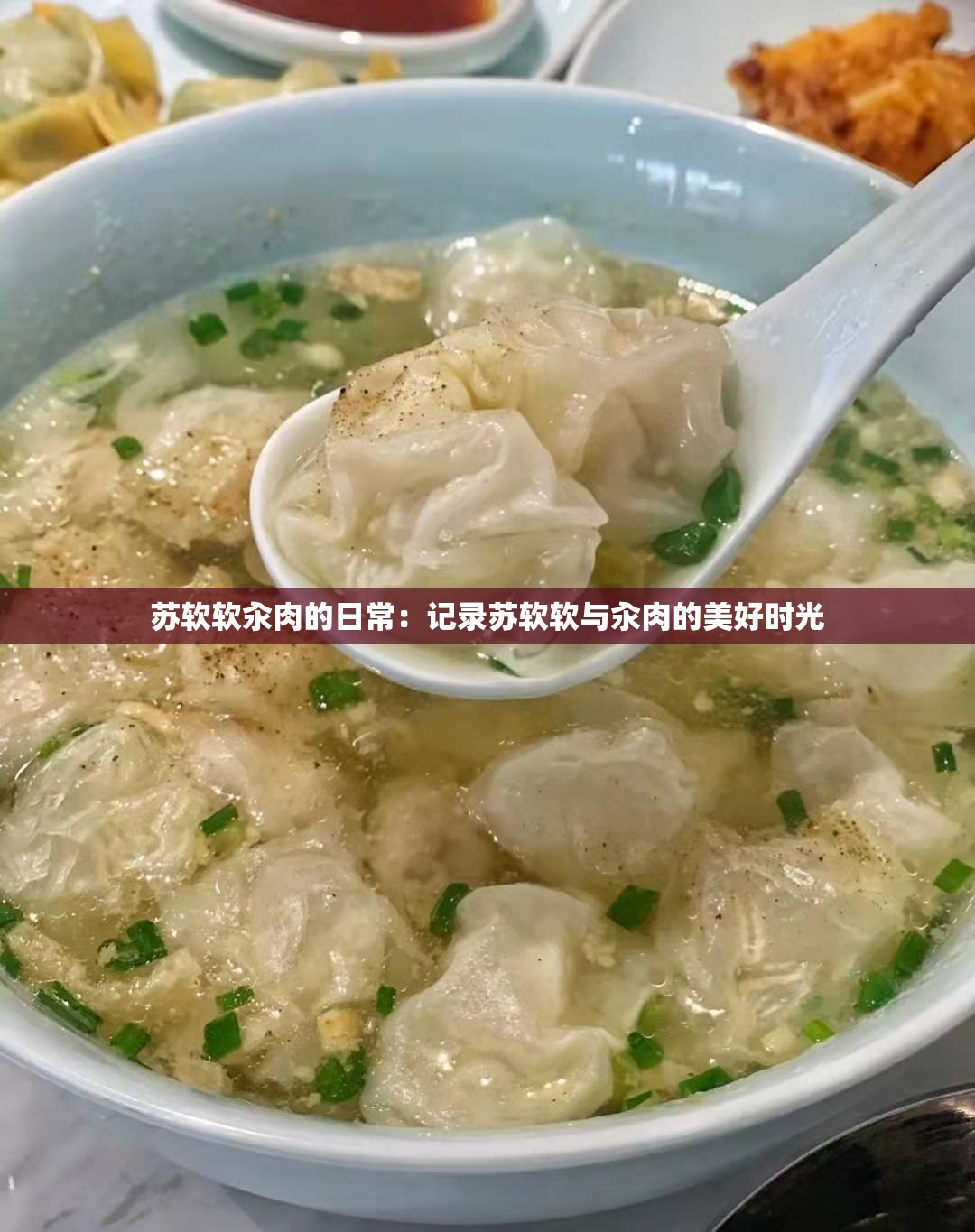 苏软软汆肉的日常：记录苏软软与汆肉的美好时光