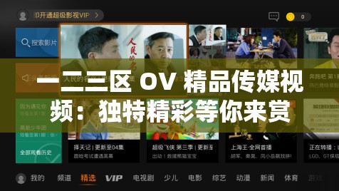 一二三区 OV 精品传媒视频：独特精彩等你来赏