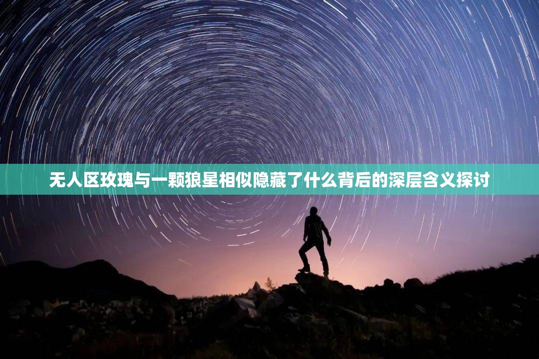 无人区玫瑰与一颗狼星相似隐藏了什么背后的深层含义探讨