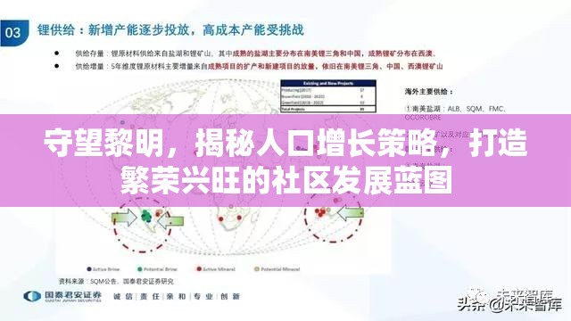 守望黎明，揭秘人口增长策略，打造繁荣兴旺的社区发展蓝图