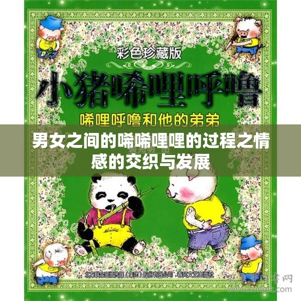 男女之间的唏唏哩哩的过程之情感的交织与发展