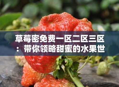 草莓密免费一区二区三区：带你领略甜蜜的水果世界