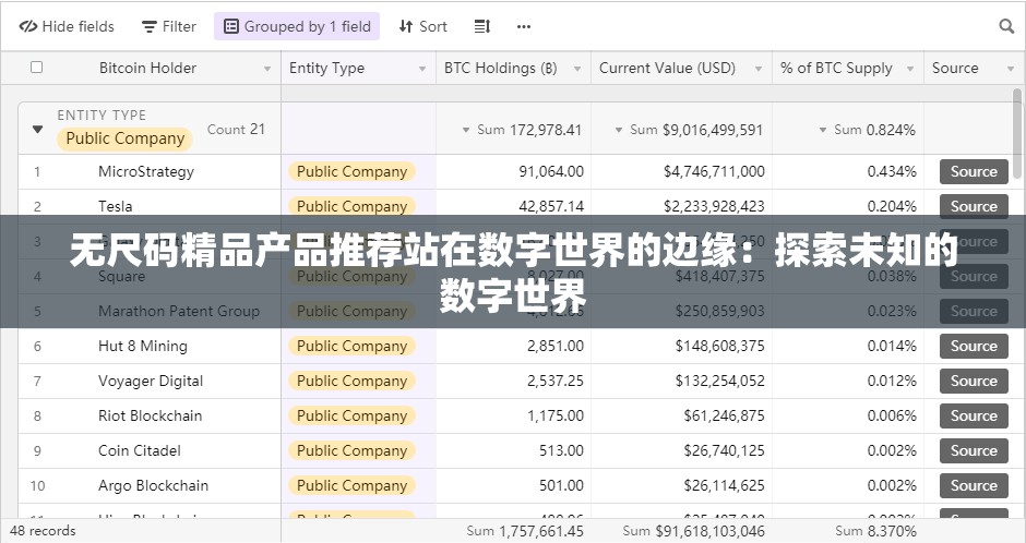 无尺码精品产品推荐站在数字世界的边缘：探索未知的数字世界