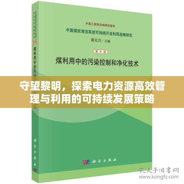 守望黎明，探索电力资源高效管理与利用的可持续发展策略