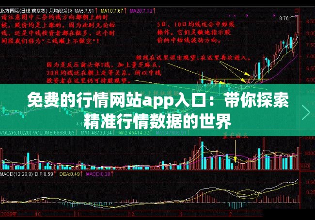 免费的行情网站app入口：带你探索精准行情数据的世界