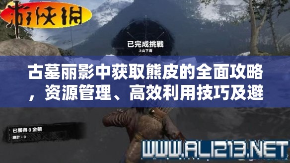 古墓丽影中获取熊皮的全面攻略，资源管理、高效利用技巧及避免浪费策略