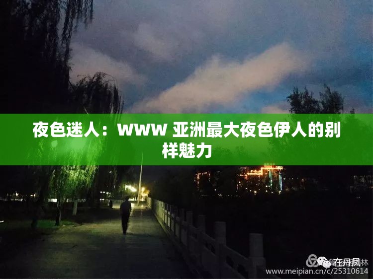 夜色迷人：WWW 亚洲最大夜色伊人的别样魅力