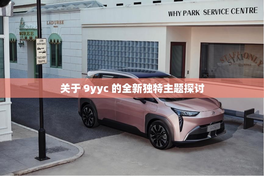 关于 9yyc 的全新独特主题探讨