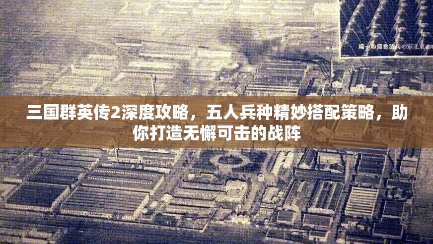 三国群英传2深度攻略，五人兵种精妙搭配策略，助你打造无懈可击的战阵