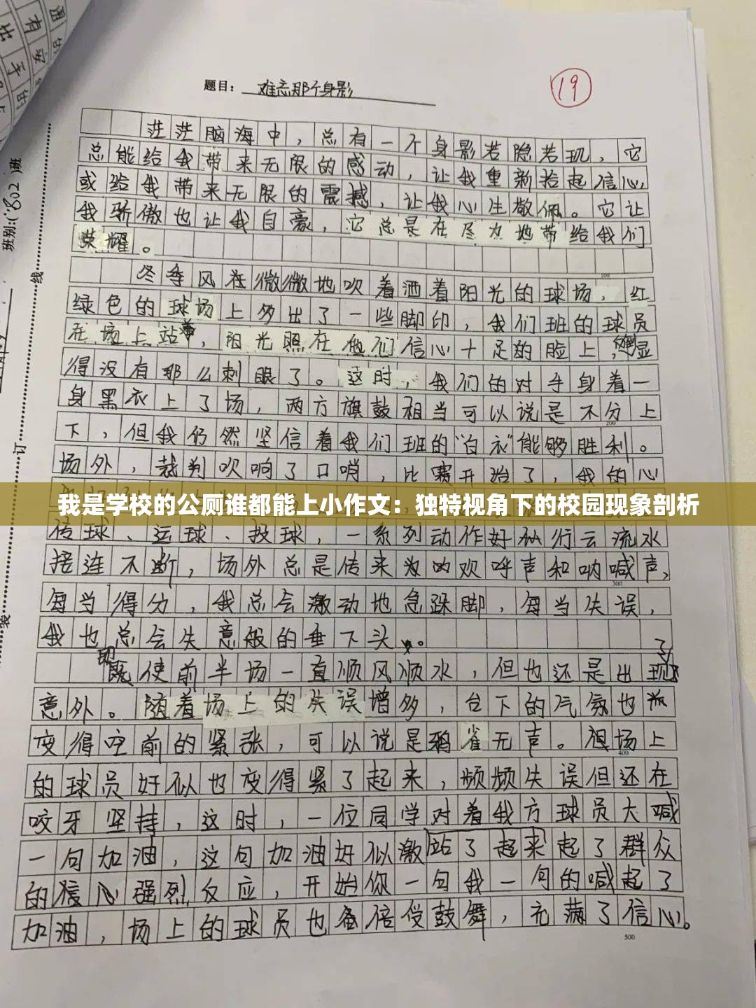 我是学校的公厕谁都能上小作文：独特视角下的校园现象剖析