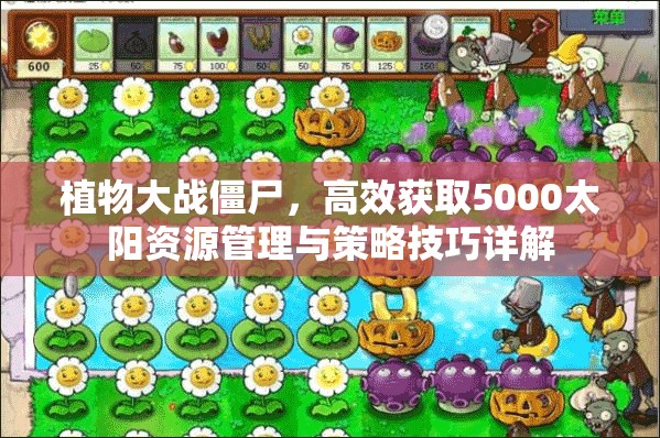 植物大战僵尸，高效获取5000太阳资源管理与策略技巧详解